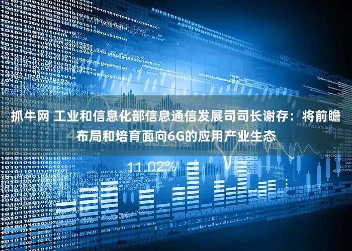 抓牛网 工业和信息化部信息通信发展司司长谢存：将前瞻布局和培育面向6G的应用产业生态