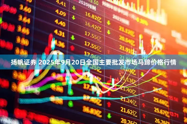 扬帆证券 2025年9月20日全国主要批发市场马蹄价格行情